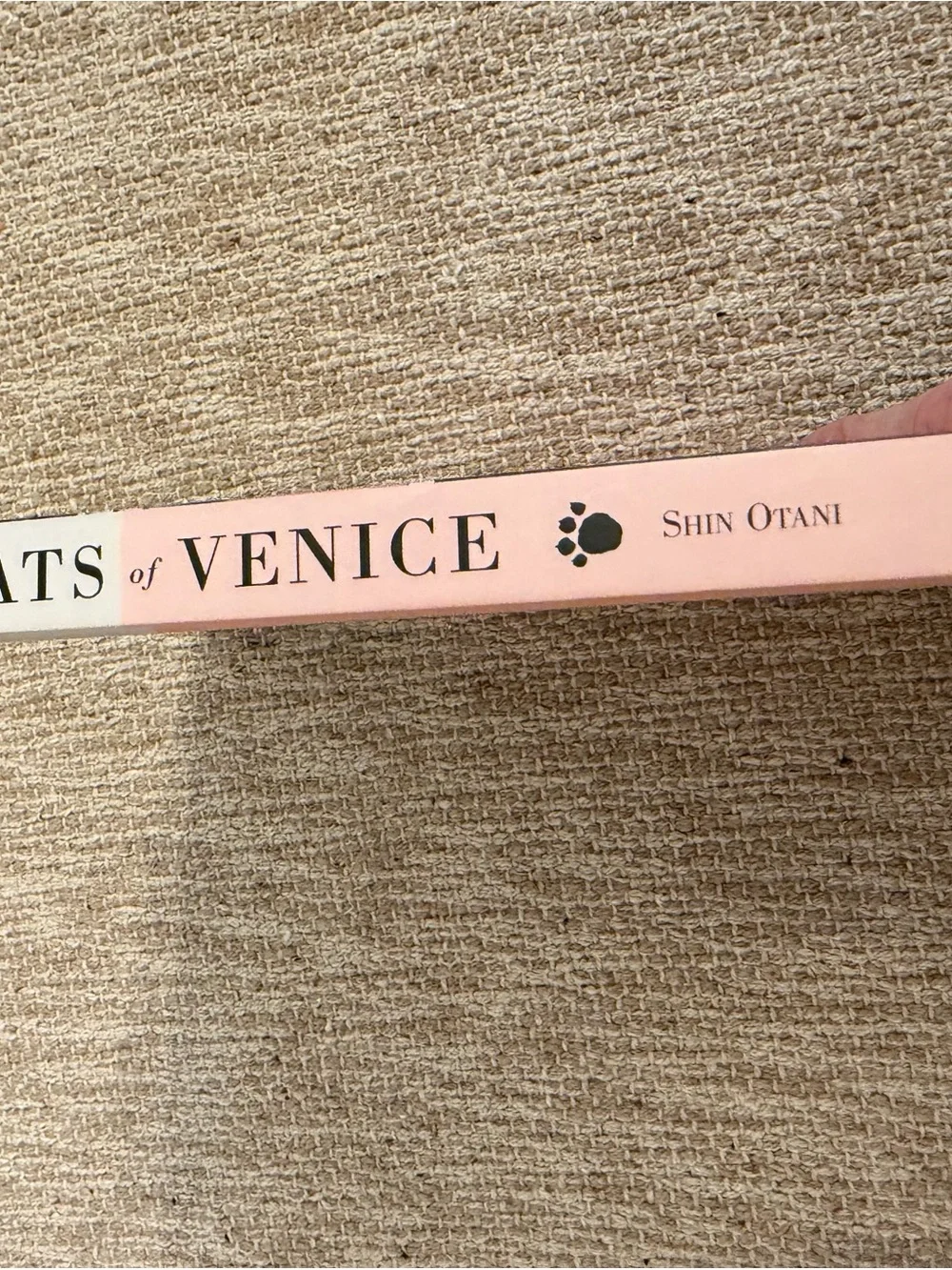 The Cats of Venice Book by Shin Otani